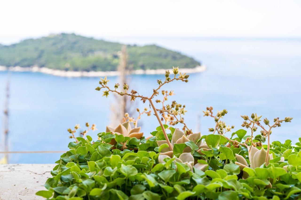 Apartment Bakus Dubrovnik Luaran gambar